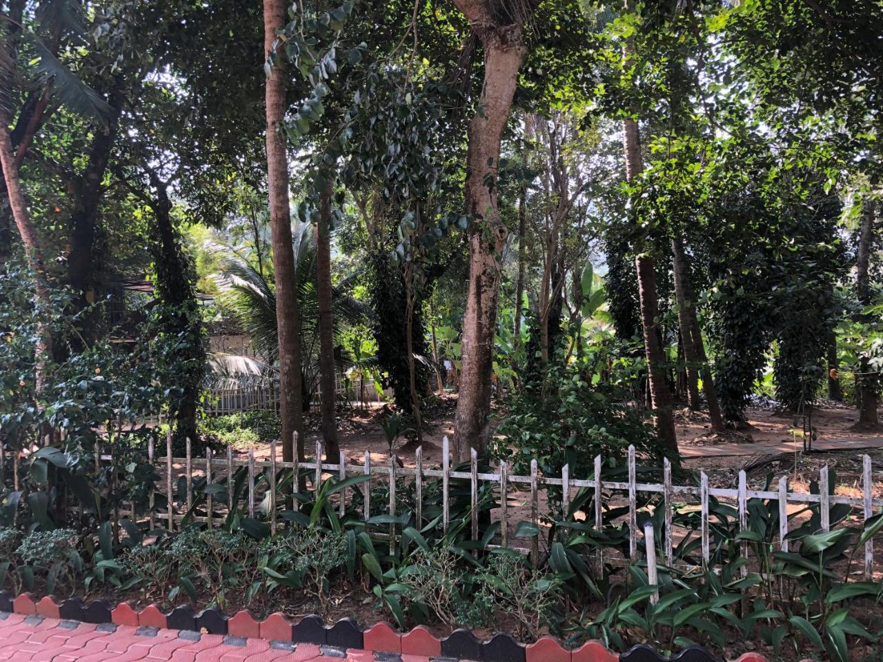 Ayuryogashram Heritage Thrissur Dış mekan fotoğraf